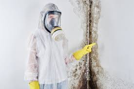 Environmental Consulting for Mold Prevention in Fairfax, IA